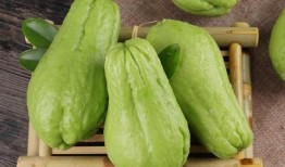 北京网红喜欢吃佛手瓜,佛手瓜美食风潮席卷京城