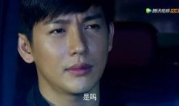 枫丹舅舅爆料视频大全,揭秘幕后真相与精彩瞬间